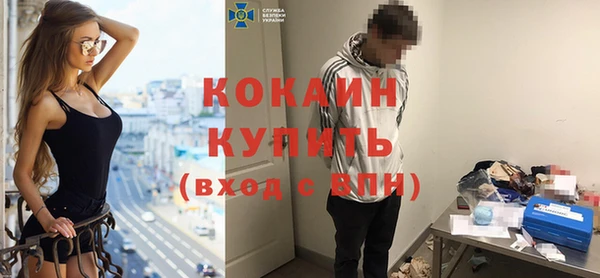 индика Аркадак