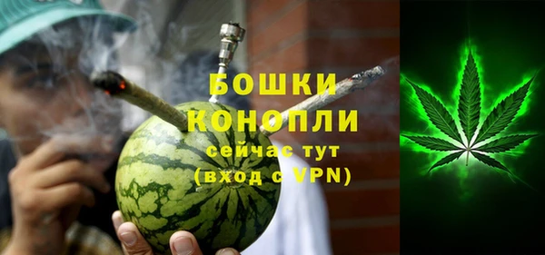 дмт Арсеньев