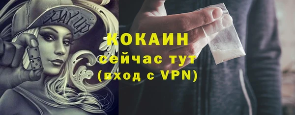 дмт Арсеньев