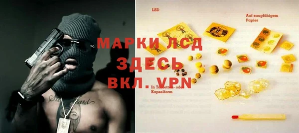 индика Аркадак