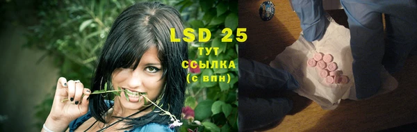 индика Аркадак