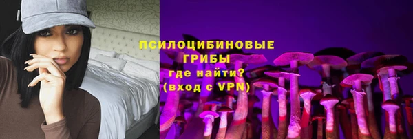 дмт Арсеньев