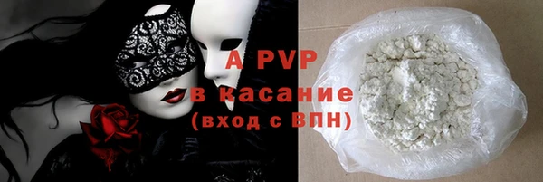 индика Аркадак