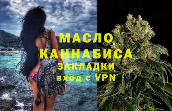 индика Аркадак