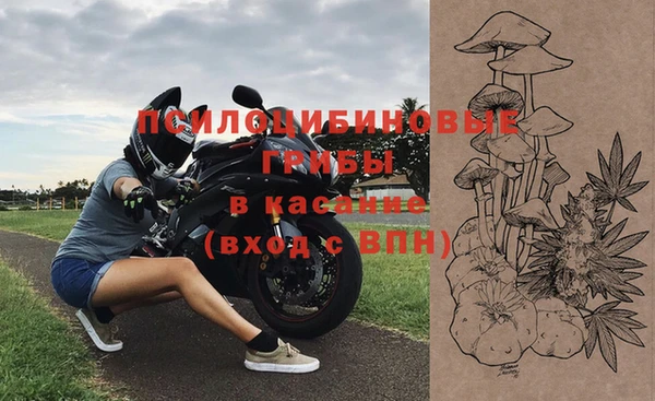 дмт Арсеньев