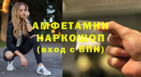 индика Аркадак