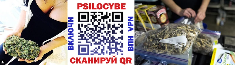 Псилоцибиновые грибы Psilocybe  даркнет клад  Рошаль  закладка 